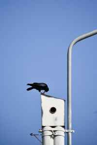 Privacy Harmonisation in Times of&nbsp;Crisis